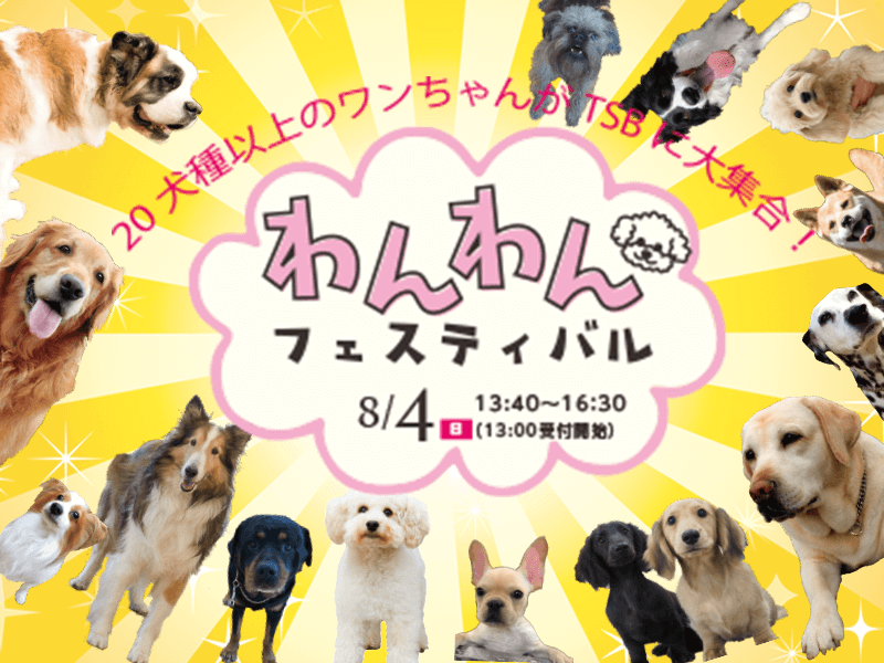 わんわんフェスティバル♪