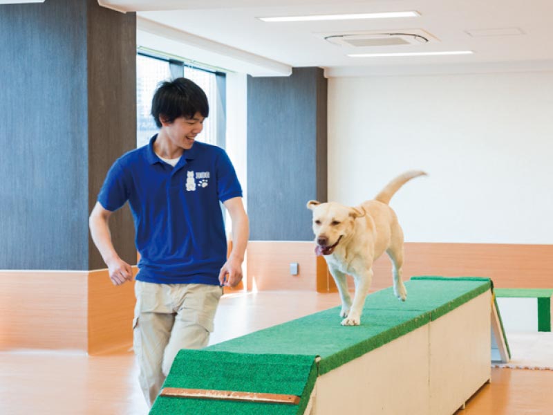ドッグトレーナーさんのお仕事を体験してみよう!
