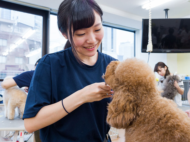 プロトリマーの技を伝授!カット体験
