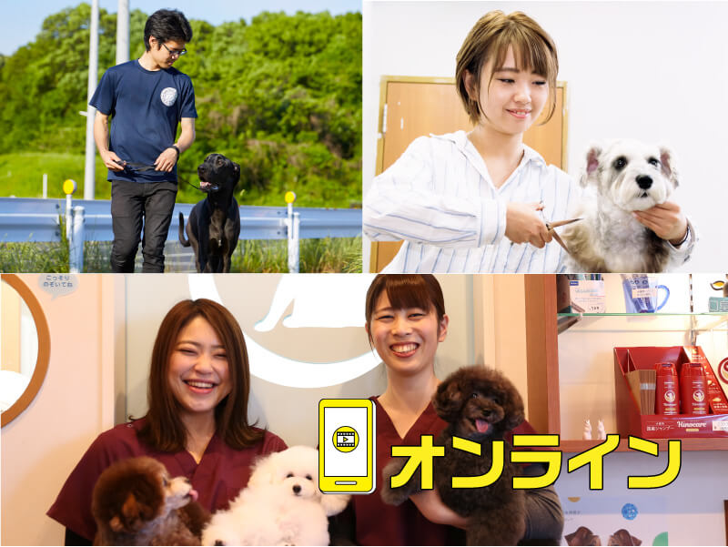 【オンライン】ペットビジネス学科学科説明会