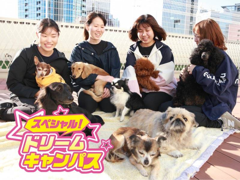 【スペシャルドリームキャンパス】ワンちゃん好きな人必見! たくさんのワンちゃん大集合♪