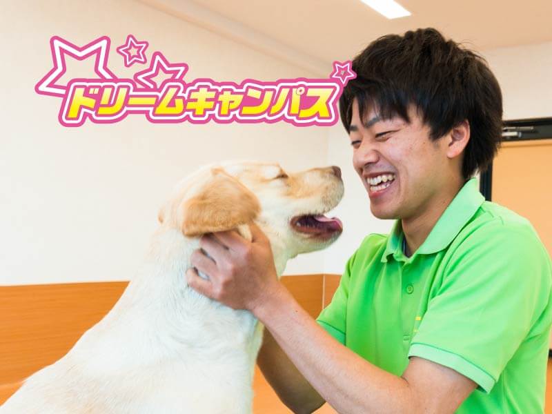 【ドリームキャンパス】TSBでしか学べない技術!! ~ドッグトレーナー編~